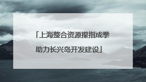 上海整合资源攥指成拳助力长兴岛开发建设