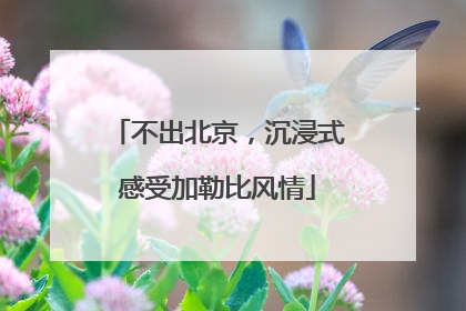 不出北京，沉浸式感受加勒比风情