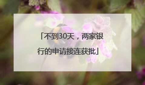 不到30天，两家银行的申请接连获批