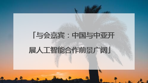 与会嘉宾：中国与中亚开展人工智能合作前景广阔