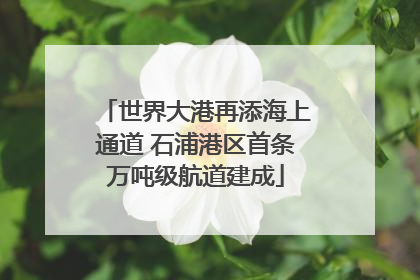 世界大港再添海上通道 石浦港区首条万吨级航道建成