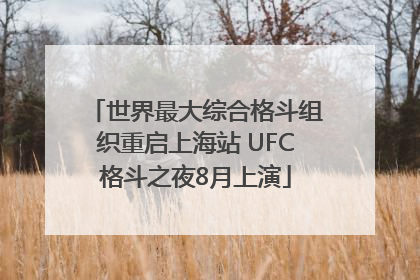 世界最大综合格斗组织重启上海站 UFC格斗之夜8月上演