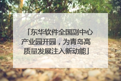东华软件全国副中心产业园开园，为青岛高质量发展注入新动能