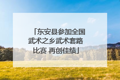 东安县参加全国武术之乡武术套路比赛 再创佳绩