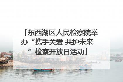 东西湖区人民检察院举办“携手关爱 共护未来”检察开放日活动