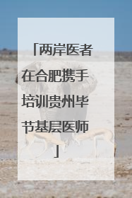 两岸医者在合肥携手培训贵州毕节基层医师