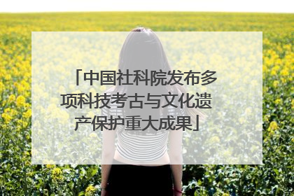 中国社科院发布多项科技考古与文化遗产保护重大成果