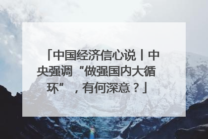 中国经济信心说丨中央强调“做强国内大循环”，有何深意？