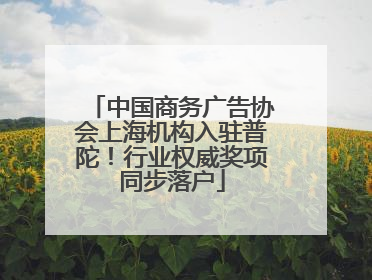 中国商务广告协会上海机构入驻普陀！行业权威奖项同步落户
