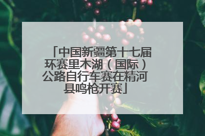 中国新疆第十七届环赛里木湖（国际）公路自行车赛在精河县鸣枪开赛