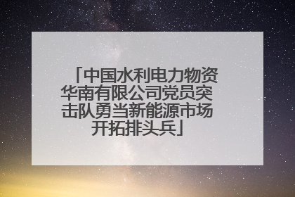 中国水利电力物资华南有限公司党员突击队勇当新能源市场开拓排头兵