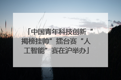 中国青年科技创新“揭榜挂帅”擂台赛“人工智能”赛在沪举办