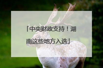中央财政支持！湖南这些地方入选