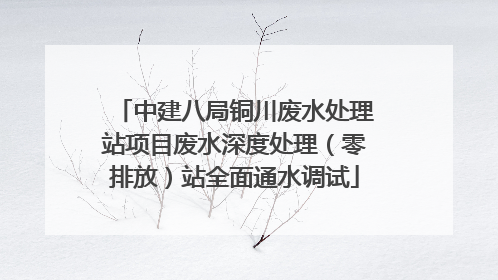 中建八局铜川废水处理站项目废水深度处理（零排放）站全面通水调试