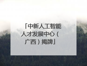 中新人工智能人才发展中心（广西）揭牌
