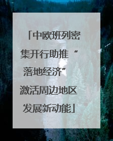 中欧班列密集开行助推“落地经济” 激活周边地区发展新动能