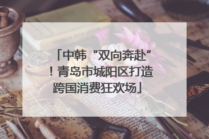 中韩“双向奔赴”！青岛市城阳区打造跨国消费狂欢场