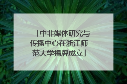 中非媒体研究与传播中心在浙江师范大学揭牌成立