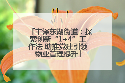 丰泽东湖街道：探索创新“1+4”工作法 助推党建引领物业管理提升