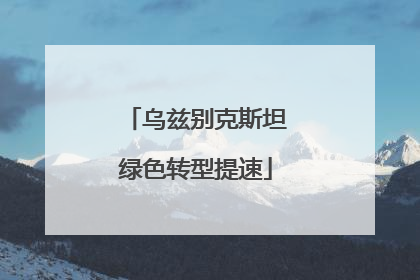 乌兹别克斯坦绿色转型提速