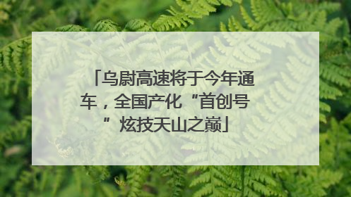 乌尉高速将于今年通车，全国产化“首创号”炫技天山之巅