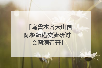 乌鲁木齐天山国际枢纽港交流研讨会圆满召开