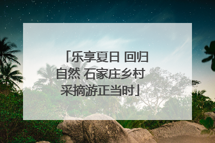 乐享夏日 回归自然 石家庄乡村采摘游正当时