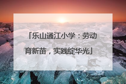 乐山通江小学：劳动育新苗，实践绽华光