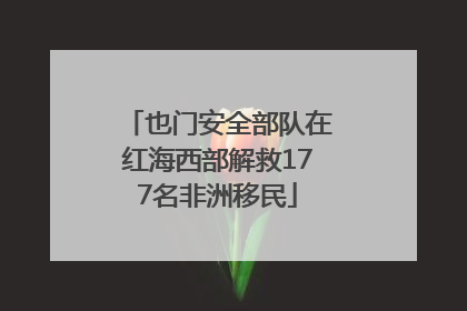 也门安全部队在红海西部解救177名非洲移民