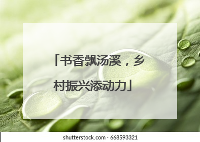 书香飘汤溪，乡村振兴添动力