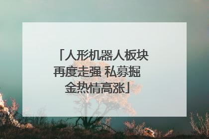 人形机器人板块再度走强 私募掘金热情高涨