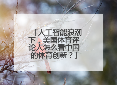 人工智能浪潮下，美国体育评论人怎么看中国的体育创新？