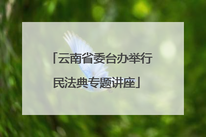 云南省委台办举行民法典专题讲座