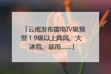 云南发布雷电Ⅳ级预警！9级以上阵风、大冰雹、暴雨……