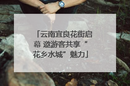 云南宜良花街启幕 邀游客共享“花乡水城”魅力