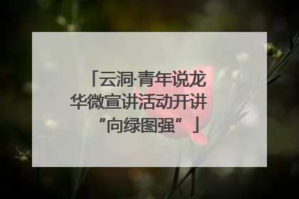 云洞·青年说龙华微宣讲活动开讲“向绿图强”