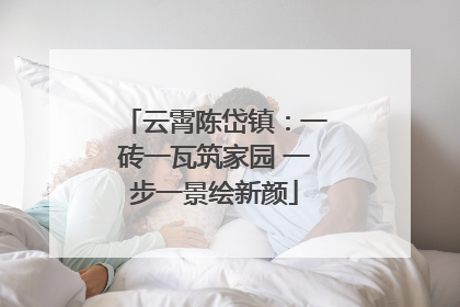 云霄陈岱镇：一砖一瓦筑家园 一步一景绘新颜