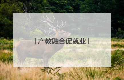 产教融合促就业