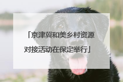 京津冀和美乡村资源对接活动在保定举行