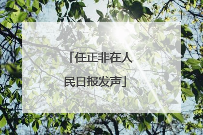 任正非在人民日报发声