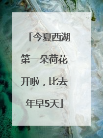 今夏西湖第一朵荷花开啦，比去年早5天