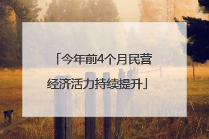 今年前4个月民营经济活力持续提升