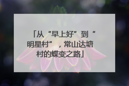 从“早上好”到“明星村”，常山达塘村的蝶变之路