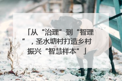 从“治理”到“智理”，圣水塘村打造乡村振兴“智慧样本”