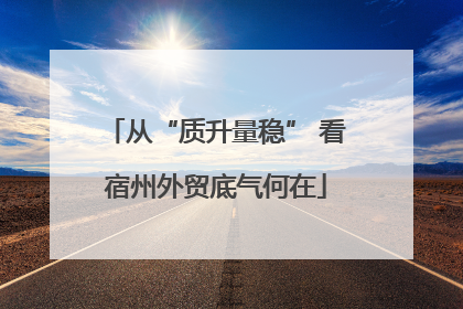 从“质升量稳” 看宿州外贸底气何在