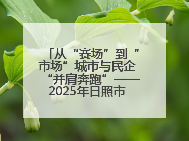 从“赛场”到“市场”城市与民企“并肩奔跑”——2025年日照市民营企业职工运动会亮点观察