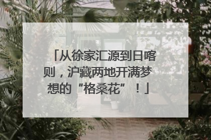 从徐家汇源到日喀则，沪藏两地开满梦想的“格桑花”！