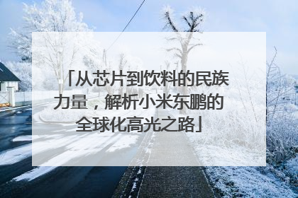 从芯片到饮料的民族力量，解析小米东鹏的全球化高光之路