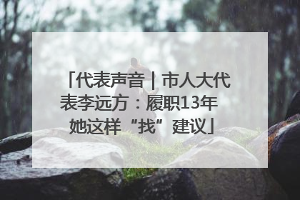代表声音｜市人大代表李远方：履职13年 她这样“找”建议
