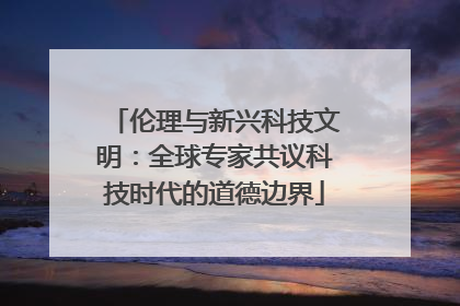 伦理与新兴科技文明：全球专家共议科技时代的道德边界